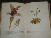1940 GLASS FLOWERS IN THE WARE COLLECTION BY FRITZ KREDEL BOOK - KD 669