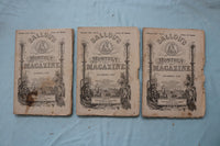 1880 BALLOU'S MONTHLY MAGAZINE - COMPLETE YEAR - LOT OF 12 - O 3975