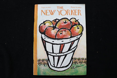 1967 SEPTEMBER 30 NEW YORKER MAGAZINE - GREAT ILLUSTRATED COVER - NY 2741