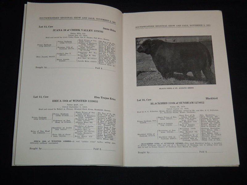1951 SOUTHWESTERN REGIONAL ANGUS BREEDERS SHOW & SALE CATALOG - J 9086