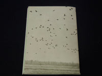 1956 WISCONSIN'S RENEWABLE RESOURCES SOFTCOVER BOOK BY JAMES A. LARSEN- K 2114