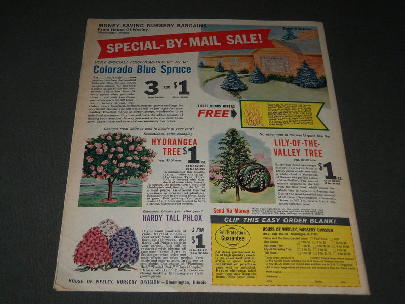 1965 MARCH 7 FAMILY WEEKLY SUNDAY MAGAZINE SECTION - BILL BRADLEY - J 2936