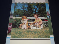 1954 EAGLE LINE HANGERS CALENDAR SALESMAN SAMPLE SHEETS BOOK - C 19