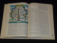 1984 ENCYCLOPEDIC DICTIONARY OF YOUNG PHILOLOGIST BOOK LOT OF 2 - KD 4270M