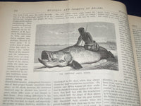 1875 JAN 2- MAR 27 APPLETONS' JOURNAL MAGAZINE BOUND VOL. - 13 ISSUES - KD 2302