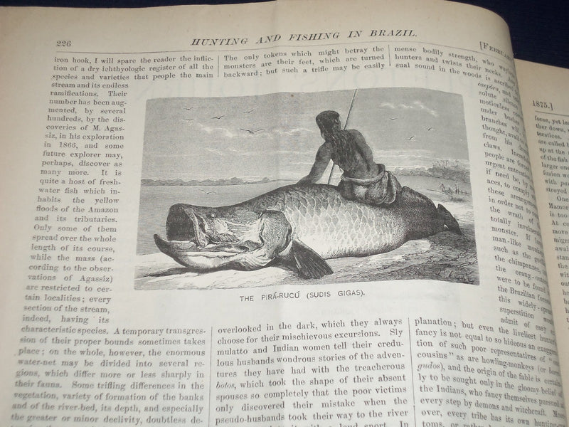 1875 JAN 2- MAR 27 APPLETONS' JOURNAL MAGAZINE BOUND VOL. - 13 ISSUES - KD 2302