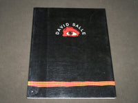 1988 DAVID SALLE FUNDACION CAJA DE PENSIONES BOOK - SPANISH - D 211
