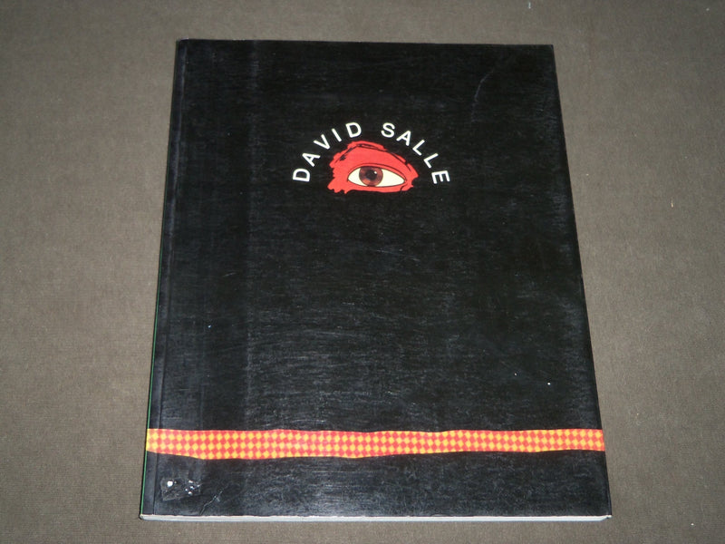 1988 DAVID SALLE FUNDACION CAJA DE PENSIONES BOOK - SPANISH - D 211
