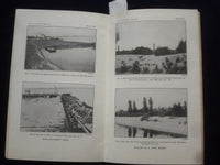 1915 DECEMBER WILLOWS: THEIR GROWTH, USE, AND IMPORTANCE SOFTCOVER BOOK - J 9618