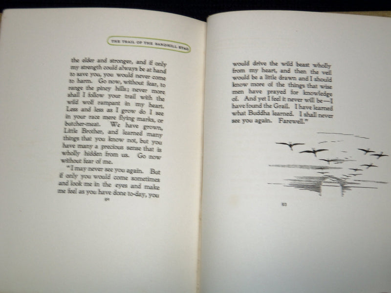 1899 THE TRAIL OF THE SANDHILLSTAG BOOK BY ERNEST SETON-THOMPSON - KD 3369D
