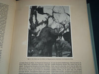 1921 MATTHIAS GRUNEWALD DER MALER DES ISENHEIMER BOOK - GERMAN - KD 935