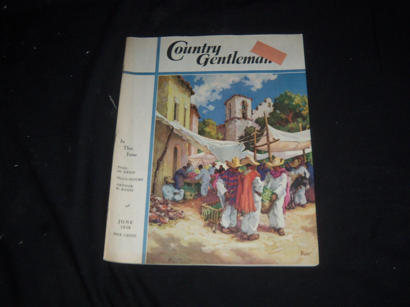 1938 JUN COUNTRY GENTLEMAN MAGAZINE - ILLUSTRATED COVER, STORIES & ADS - SP 7069