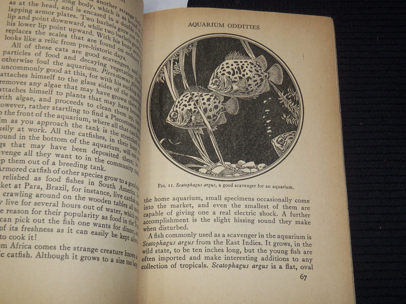 1947 TROPICAL FISH SOFTCOVER BOOK BY LUCILE QUARRY MANN - K 2657