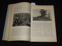 1906 NOVEMBER ROD AND GUN IN CANADA AND MOTOR MAGAZINE - MONDERN JONAH - J 8101
