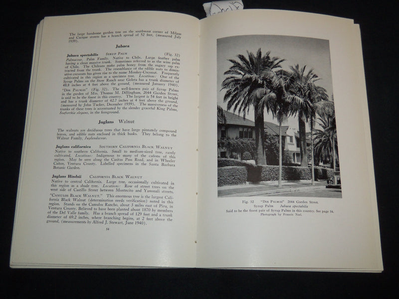 1940 TREES OF SANTA BARBARA DESCRIBED AND LOCATED BOOK BY RENSSELAER - J 8747