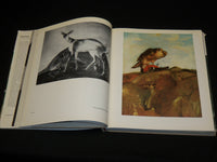 1971 CSONTVARY HARDCOVER BOOK BY LAJOS NEMETH - NICE PRINTS - R 710E
