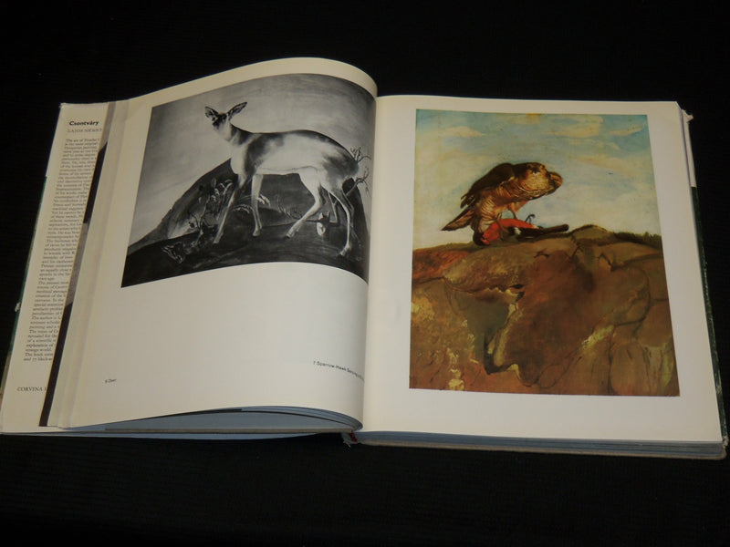 1971 CSONTVARY HARDCOVER BOOK BY LAJOS NEMETH - NICE PRINTS - R 710E