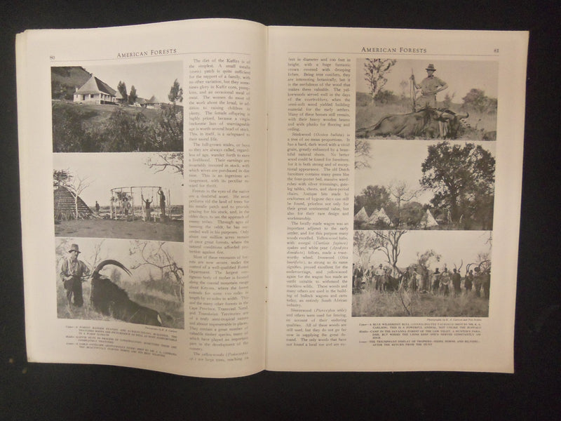1924 FEBRUARY AMERICAN FORESTS & FOREST LIFE MAGAZINE - ST 4605