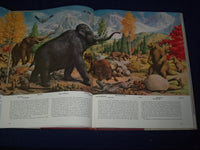 1955 THE WORLD WE LIVE IN BOOK BY TIME INC. - NICE COLOR FOLD OUTS - KD 2206