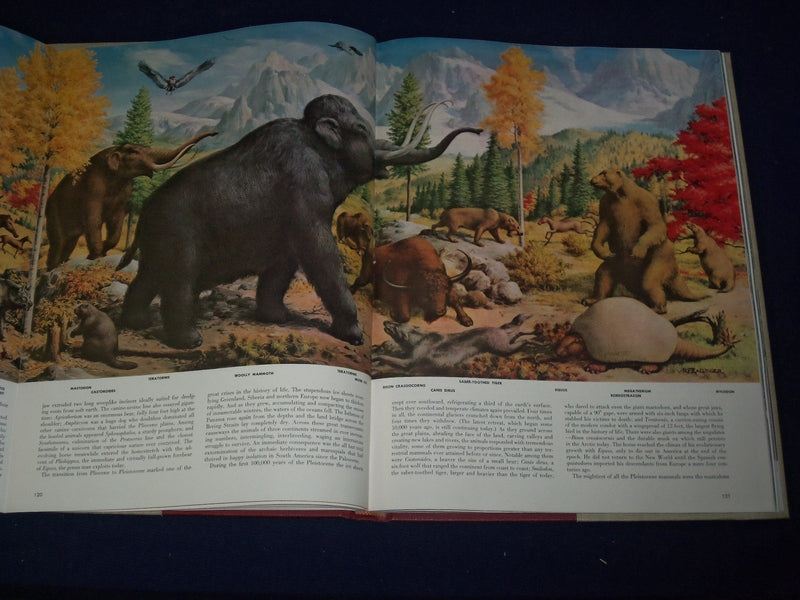 1955 THE WORLD WE LIVE IN BOOK BY TIME INC. - NICE COLOR FOLD OUTS - KD 2206