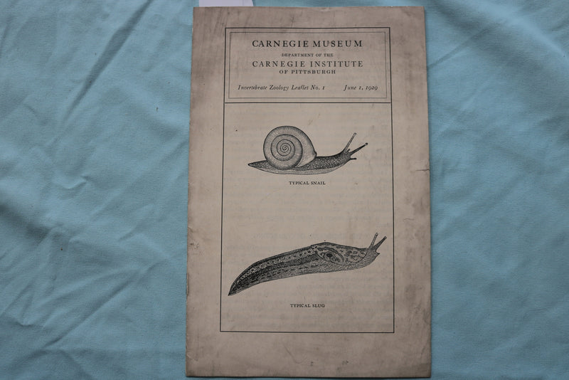 1929 CARNEGIE MUSEUM - INVERTEBRATE ZOOLOGY LEAFLET - SOFTCOVER - K 2506