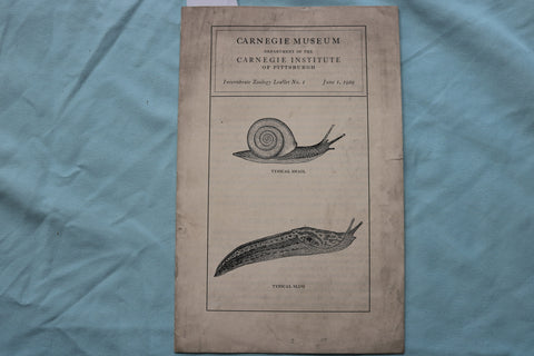 1929 CARNEGIE MUSEUM - INVERTEBRATE ZOOLOGY LEAFLET - SOFTCOVER - K 2506