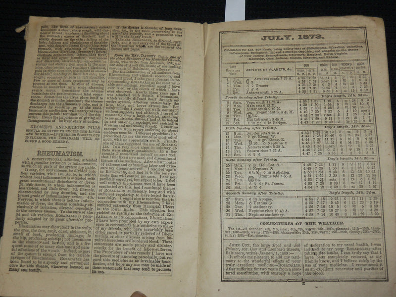 1873 ROSADALIS ALMANAC - SOFTCOVER - FLESH IN THE BLOOD - J 6868