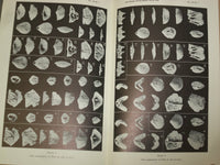 1951 & 1966 SILICIFIED ORDOVICIAN & JURASSIC BRACHIOPOD - LOT OF 2 - J 4959