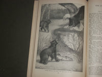 1924 SEPTEMBER ST. NICHOLAS MAGAZINE - ILLUSTRATIONS, STORIES & ADS - B 4639
