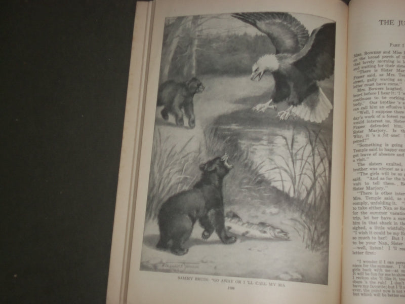 1924 SEPTEMBER ST. NICHOLAS MAGAZINE - ILLUSTRATIONS, STORIES & ADS - B 4639
