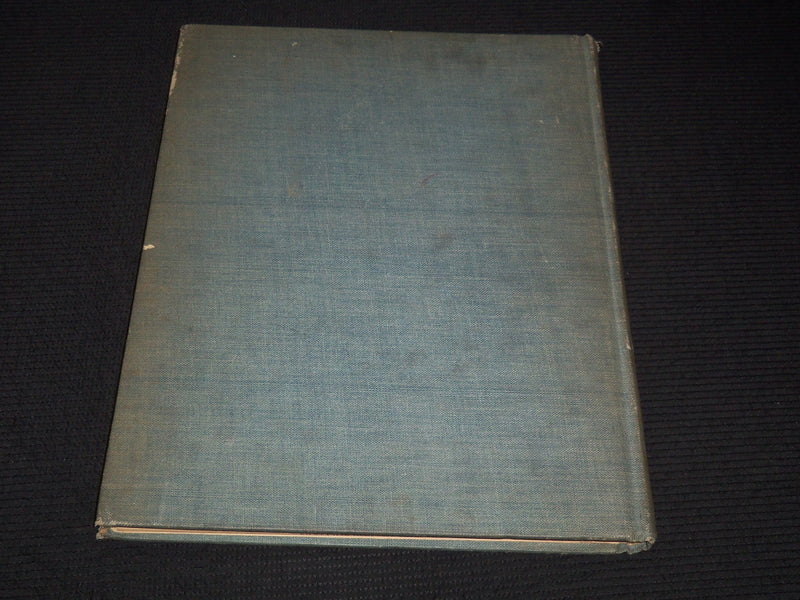 1900 ILLUSTRATIONS OF IVORIES IN THE SO. KENSINGTON MUSEUM - D'ASCENZO - Z 209