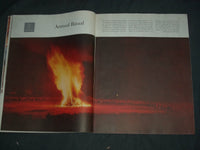 1958 NOVEMBER 29 THE SATURDAY EVENING POST MAGAZINE- ILLUSTRATED COVER- SP 2481L