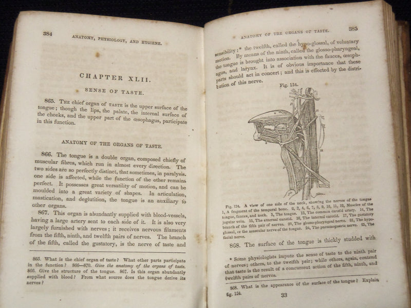 1853 A TREATISE OF ANATOMY BOOK BY CALVIN CUTTER, M. D - NICE ILLUS. - J 8118