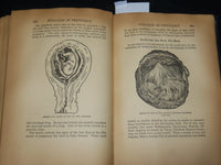 1938 EUGENICS AND SEX HARMONY HARDCOVER BOOK BY HERMAN RUBIN - KD 7522