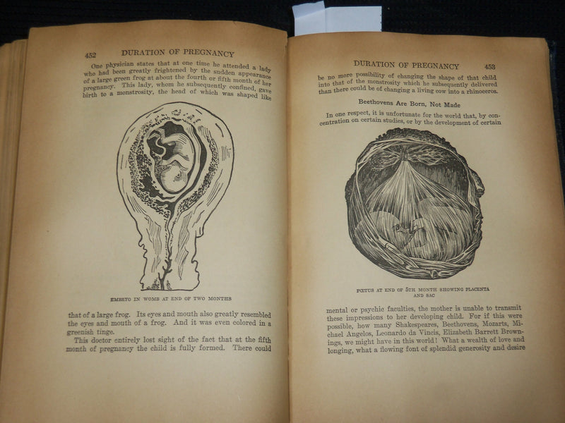 1938 EUGENICS AND SEX HARMONY HARDCOVER BOOK BY HERMAN RUBIN - KD 7522