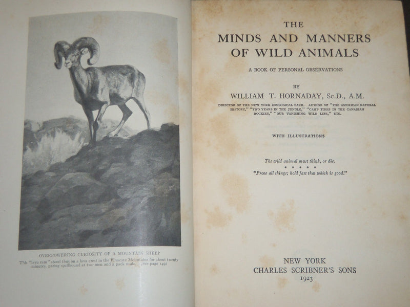 1923 THE MINDS AND MANNERS OF WILD ANIMALS BY W. T. HORNADAY - KD 5816