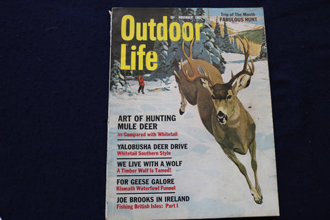 1962 NOVEMBER OUTDOOR LIFE MAGAZINE - FISHING, HUNTING, CAMPING - E 9064