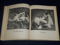 1950 THE BOOK OF CATS EDITED BY BRANT HOUSE - NICE PHOTOS - KD 3461