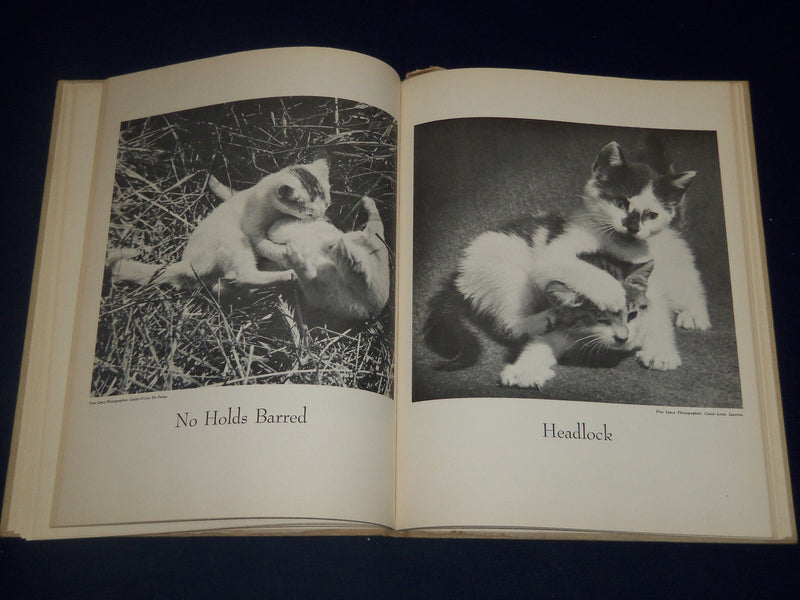 1950 THE BOOK OF CATS EDITED BY BRANT HOUSE - NICE PHOTOS - KD 3461