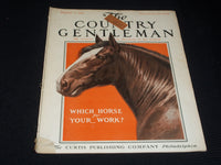 1914 AUGUST 1 THE COUNTRY GENTLEMAN MAGAZINE ILLUSTRATED COVER ART - E 2907