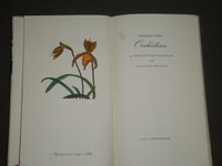 1958 ORCHIDEEN BY GERHARD NEBEL GERMAN BOOK - GREAT ILLUSTRATIONS - KD 4310