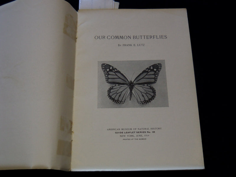 1914 OUR COMMON BUTTERFLIES BOOK BY FRANK E. LUTZ - LEAFLET NO. 38 - J 7301