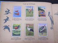 1940'S DANMARKS SERIE FRA FUGLENES VERDEN BIRDS TOBACCO CARDS ALBUM - KD 3188