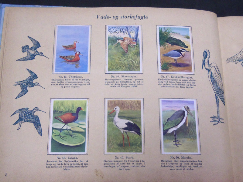 1940'S DANMARKS SERIE FRA FUGLENES VERDEN BIRDS TOBACCO CARDS ALBUM - KD 3188