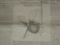 1846 APRIL 11 MASSACHUSETTS PLOUGHMAN NEWSPAPER- BOSTON PINE STRAWBERRY- NP 5122
