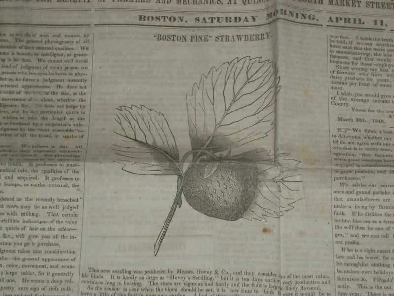 1846 APRIL 11 MASSACHUSETTS PLOUGHMAN NEWSPAPER- BOSTON PINE STRAWBERRY- NP 5122