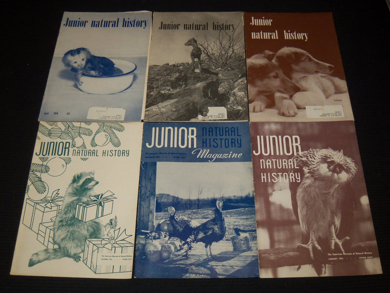 1953-1956 JUNIOR NATURAL HISTORY MAGAZINE LOT OF 35 ISSUES - O 1779C