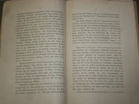 1881 DIE GEBIRGE - VORTRAG VON PROF. ALBERT HEIM - GERMAN TEXT - J 4895