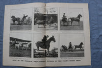 1905 NOVEMBER 18 HARPER'S WEEKLY MAGAZINE - HORSE SHOW NUMBER - E 26450