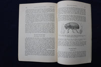 1935 INSECT PESTS OF ELMS IN CONNECTICUT SOFTCOVER BOOK - K 1413
